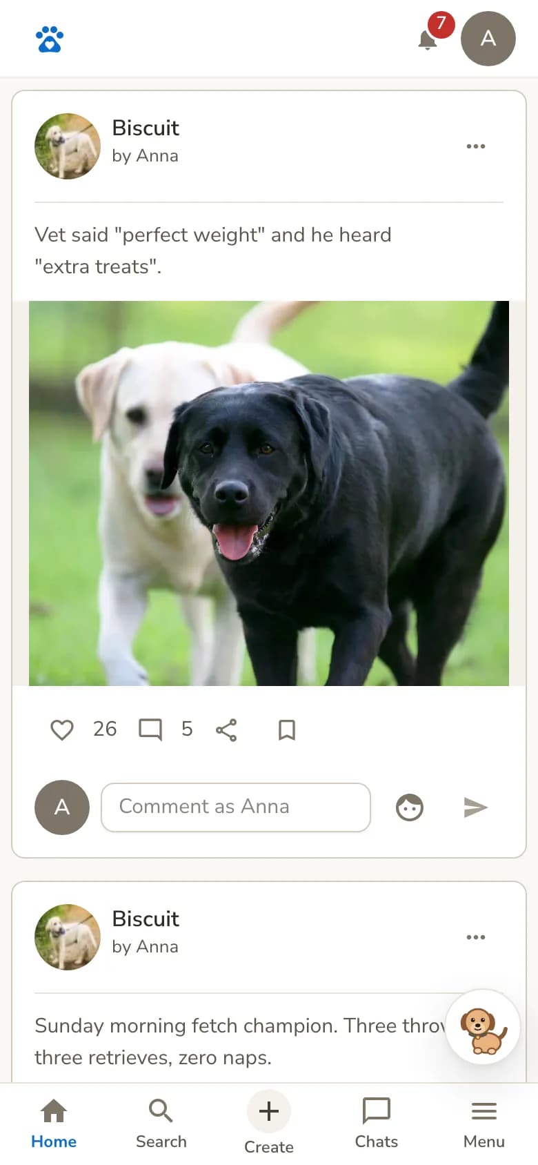The Doggs.Life feed on a phone: a post by Biscuit the Labrador with a photo, likes and comments