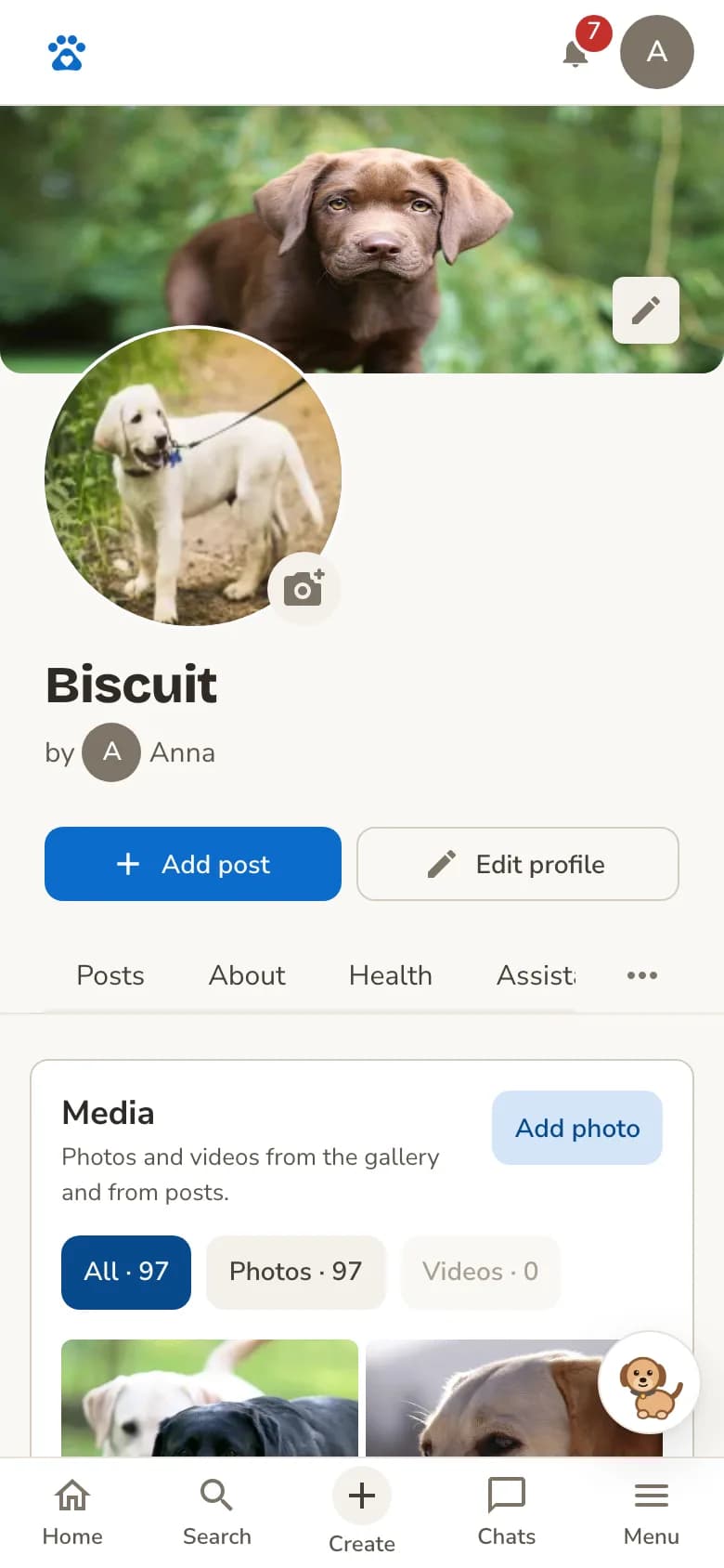 The media gallery of a dog profile