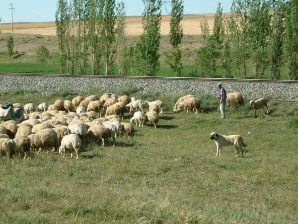 Antalya Karabash